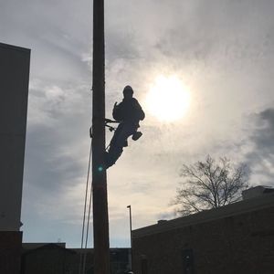 Meet your Posher, Trevor